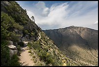 Guadalupe Peak Trail. Guadalupe Mountains National Park, Texas, USA.