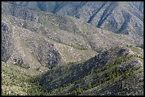 Ridges from fossil Reef. Guadalupe Mountains National Park, Texas, USA. (color)