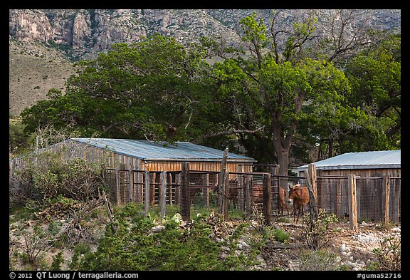 Frijole Ranch stables. Guadalupe Mountains National Park (color)