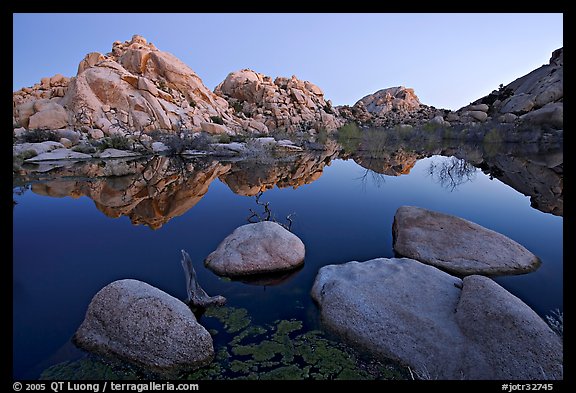 Boulders reflected in water, Barker Dam, dawn. Joshua Tree National Park (color)