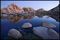 Boulders reflected in water, Barker Dam, dawn. Joshua Tree National Park, California, USA. (color)