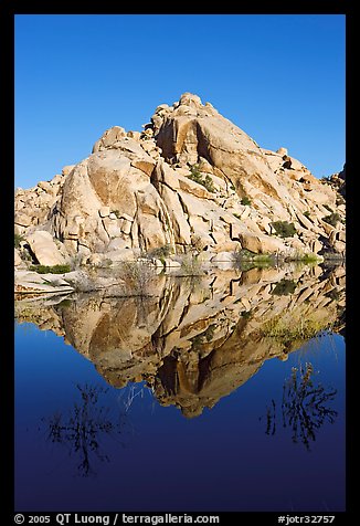 Rock formations reflected in Barker Dam Pond, morning. Joshua Tree National Park, California, USA.