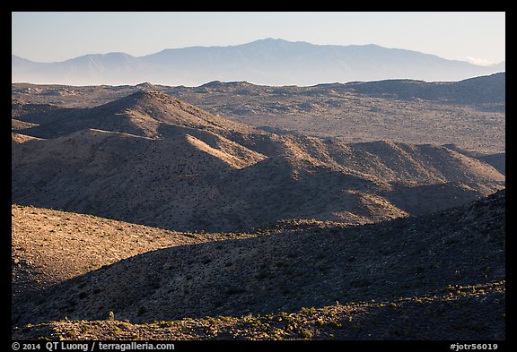 San Bernardino Mountains from Ryan Mountain. Joshua Tree National Park (color)