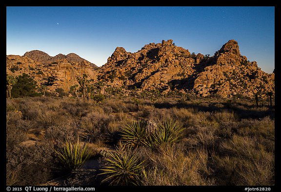 Hidden Valley with light of moonrise. Joshua Tree National Park (color)