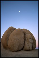 Group of boulders with sphynx and moon at dawn. Joshua Tree National Park ( color)
