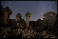 Cottonwood Spring Oasis at night. Joshua Tree National Park, California, USA.