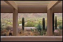 Red Hills Visitor Center. Saguaro National Park, Arizona, USA. (color)