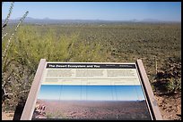 Desert Ecosystem interpretive sign. Saguaro National Park ( color)