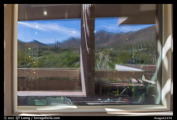Tucson Mountains and cactus, Red Hills Visitor Center window reflexion. Saguaro National Park (color)