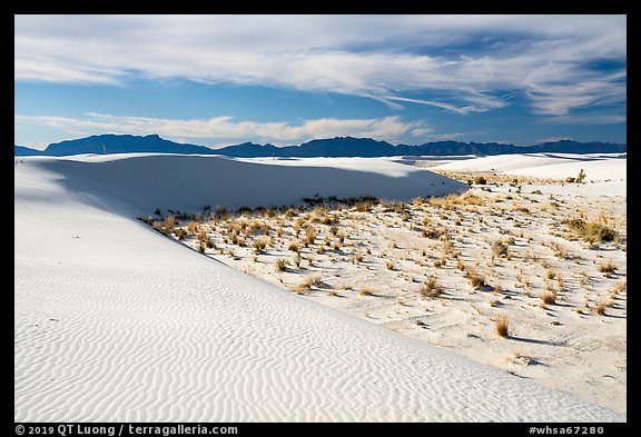 Backcountry camping area. White Sands National Park (color)