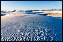 Dune field and Andres Mountains, early morning. White Sands National Park ( color)