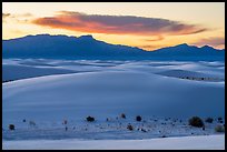 Dunes, Andres Mountains, and cloud at sunset. White Sands National Park ( color)
