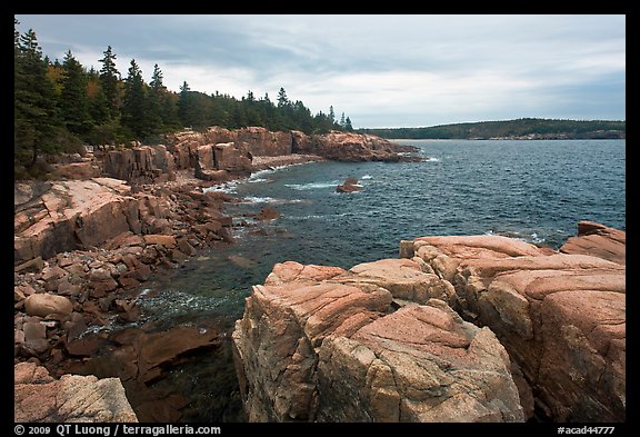 Rugged atlantic seascape near Thunder Hole. Acadia National Park, Maine, USA.