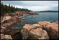 Rugged atlantic seascape near Thunder Hole. Acadia National Park, Maine, USA.