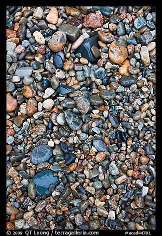 Pebbles of various sizes and colors. Acadia National Park, Maine, USA.