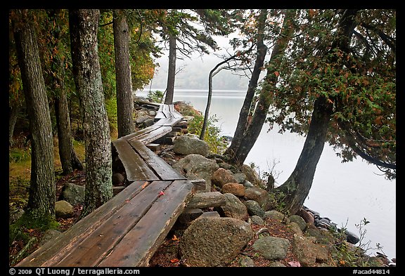 Boardwalk on shores of Jordan Pond. Acadia National Park, Maine, USA.