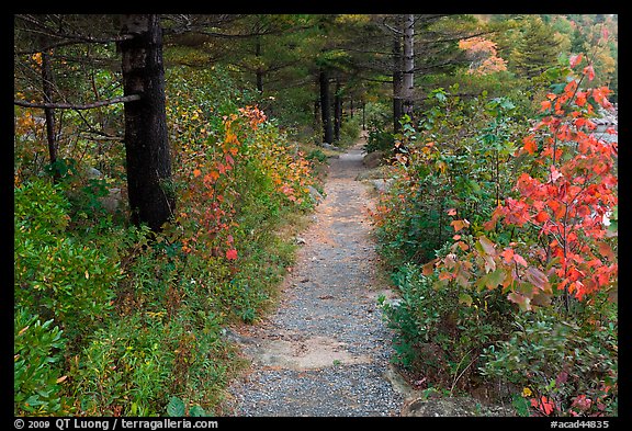 Trail in autumn on Jordan Pond shores. Acadia National Park, Maine, USA.
