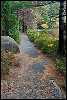 Trail in the fall on the shore of Jordan Pond. Acadia National Park, Maine, USA. (color)