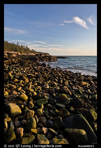 Round bouders, low tide coastline, Schoodic Peninsula. Acadia National Park, Maine, USA.