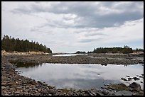 East Pond, Schoodic Peninsula. Acadia National Park, Maine, USA. (color)