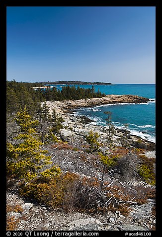 Rocky coastline, Isle Au Haut. Acadia National Park, Maine, USA.