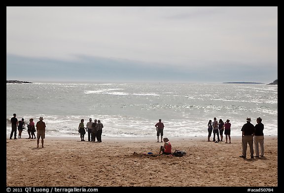 People looking at ocean from Sand Beach. Acadia National Park, Maine, USA.