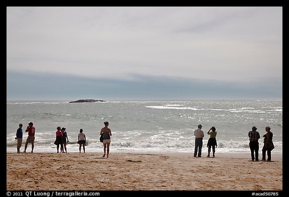 People standing on Sand Beach. Acadia National Park, Maine, USA.