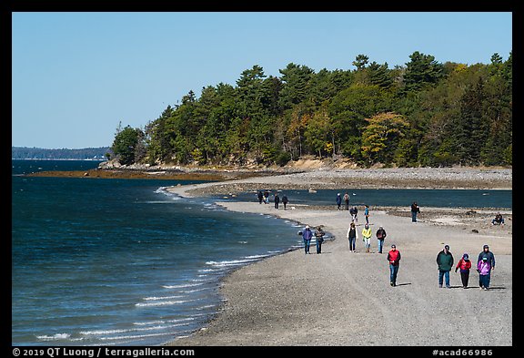 Tourists walking back from Bar Harbor Island with tide rising. Acadia National Park (color)