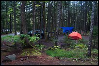 Blackwoods Campground. Acadia National Park, Maine, USA.