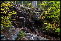 Hadlock Falls in autumn. Acadia National Park ( color)