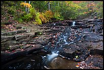 Duck Brook cascades and autumn foliage. Acadia National Park ( color)