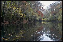 Cedar Creek. Congaree National Park, South Carolina, USA. (color)