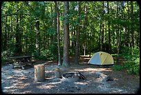 Longleaf Campground. Congaree National Park, South Carolina, USA.