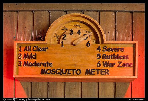 New mosquito meter. Congaree National Park (color)