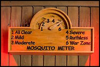 New mosquito meter. Congaree National Park ( color)