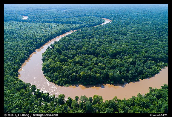 Aerial view of meanders of Congaree River. Congaree National Park (color)