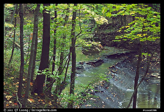 Trees and Brandywine Creek with cascades. Cuyahoga Valley National Park, Ohio, USA.