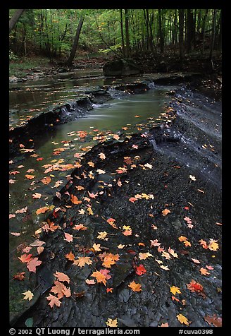 Fallen leaves and cascades near Bridalveil falls. Cuyahoga Valley National Park, Ohio, USA.