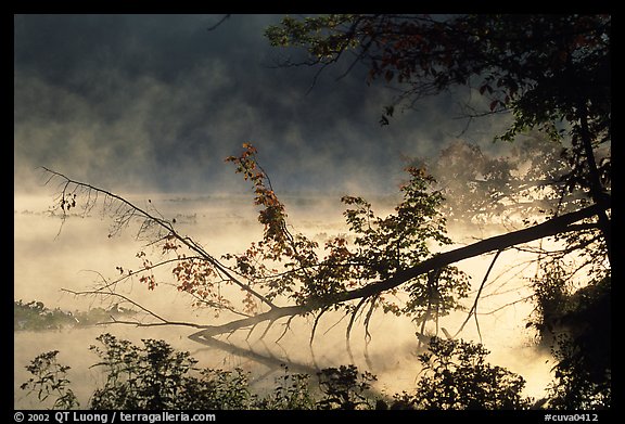 Fallen tree and mist raising from Kendall Lake. Cuyahoga Valley National Park, Ohio, USA.