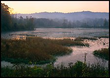 Grasses and Beaver Marsh at sunrise. Cuyahoga Valley National Park, Ohio, USA. (color)