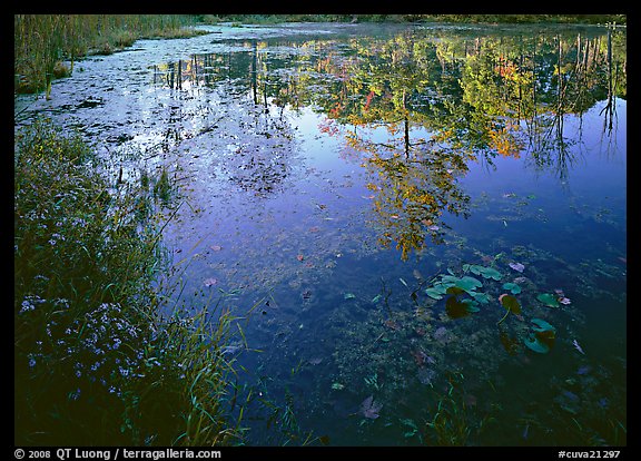 Autumn reflection on Kendall Lake, Virginia Kendall Park. Cuyahoga Valley National Park, Ohio, USA.