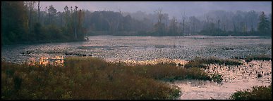 Marsh landscape at dawn. Cuyahoga Valley National Park (Panoramic color)
