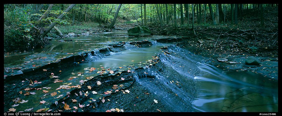 Autumn scene with stream cascading and fallen leaves. Cuyahoga Valley National Park (color)