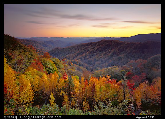 Row of trees, valley and ridges in fall color at sunset, North Carolina. Great Smoky Mountains National Park, USA.