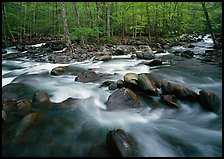 Confluence of the Middle Prong of the Little Pigeon River, Tennessee. Great Smoky Mountains National Park ( color)