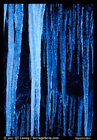Icicles close-up, Tennessee. Great Smoky Mountains National Park (color)