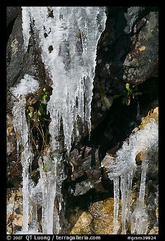 Icicles and rock, overnight frost, North Carolina. Great Smoky Mountains National Park, USA.