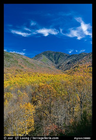Mount Le Conte and slopes in autumn colors, Tennessee. Great Smoky Mountains National Park, USA.