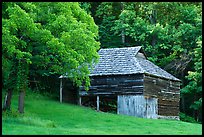 Will Messer Barn, Cataloochee, North Carolina. Great Smoky Mountains National Park ( color)