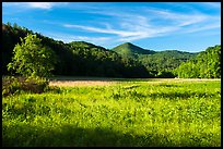 Meadow, Cataloochee Valley, North Carolina. Great Smoky Mountains National Park ( color)
